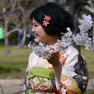 Asien | Japan - Individualreisen - Reisebürro Dresden